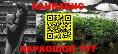 прущие крисы Обь