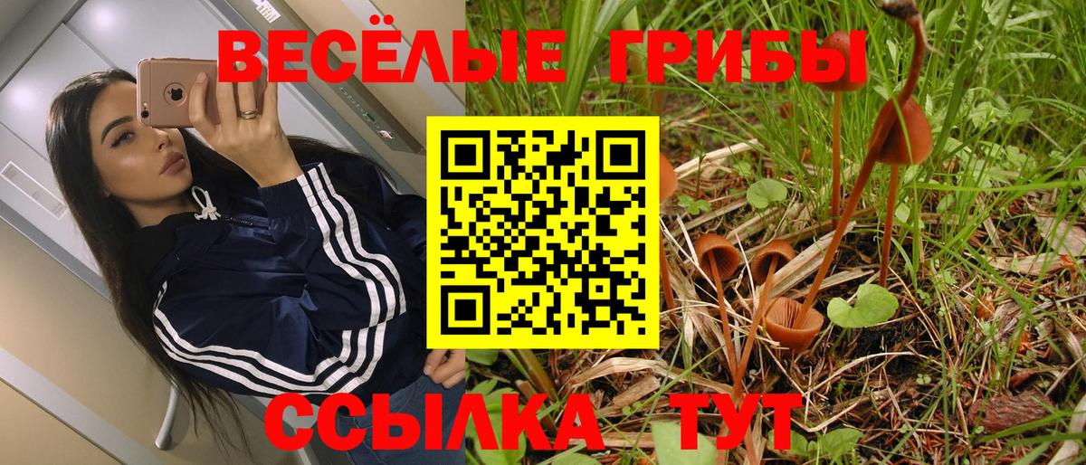 Псилоцибиновые грибы MAGIC MUSHROOMS Ставрополь